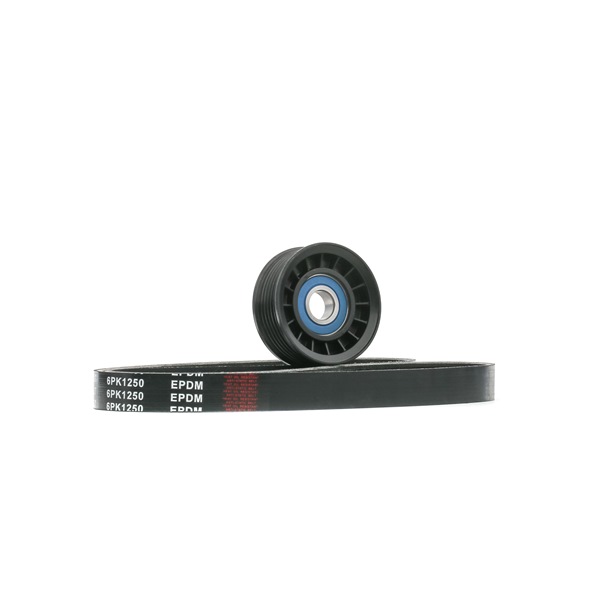 OEM 1450947 RIDEX Kileremsett 542R0798 for FORD, AC