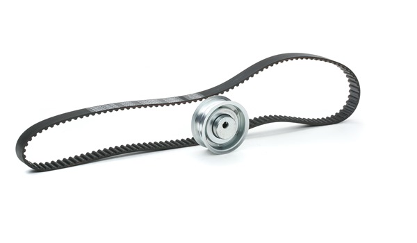 RIDEX Timing belt kit (307T0444) for VW Passat Variant (33B) 1.6 D (40 KW / 54 HP / from 1980)