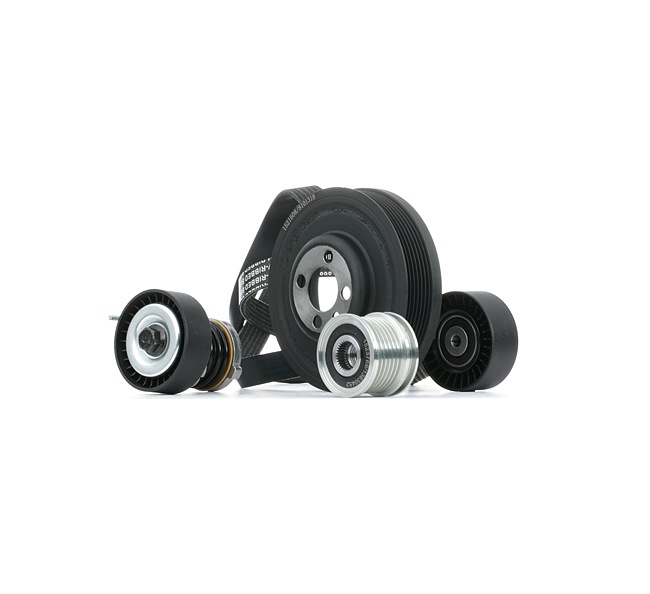 Poly V-riem set (542R0849) van RIDEX Voor AUDI A4 Avant (8K5, B8) 2.0 TDI (100 KW / 136 PK / Van 2008)