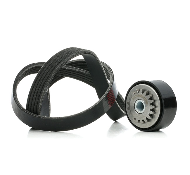 RIDEX Jeu de courroies trapézoïdales à nervures (542R0855) pour RENAULT Kangoo I Express (FC, FC0/1) 1.2 (FC01, FC0A, FC0F) (43 KW / 58 CH / de 1997)