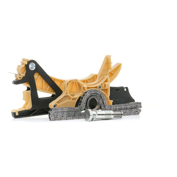 OEM 0816J2 RIDEX Registerkjedesett 1389T2717 for BMW, OPEL, PEUGEOT, CITROЁN, LAND ROVER