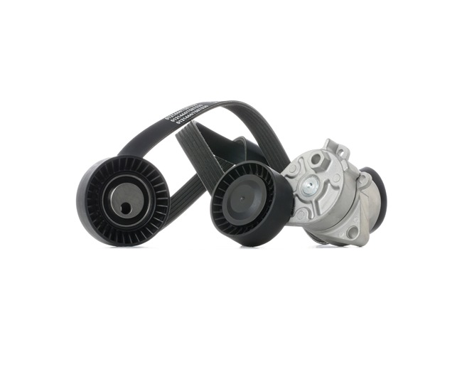 OEM 1738605 STARK Juego de correas trapeciales poli V SKRBS-1200911 para BMW, MINI