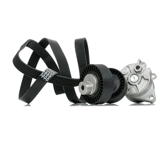 koop Poly V-riem set - RIDEX (542R0913)