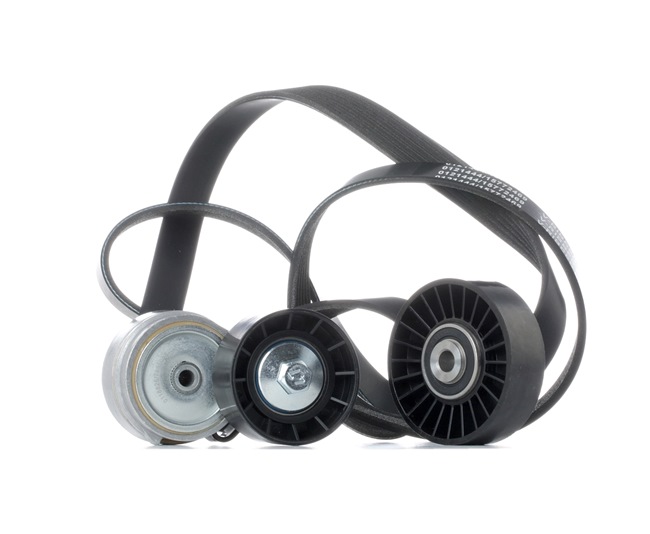 koop Poly V-riem set - STARK (SKRBS-1200917)
