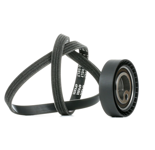 STARK Poly V-riem set SKRBS-1200925 LAND ROVER Range Rover II (P38A) 3.9 4x4 Poly V-riem set SKRBS-1200925