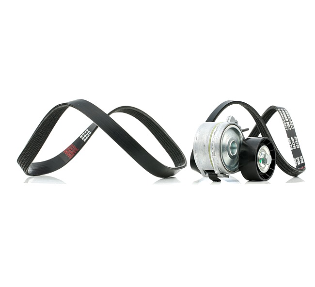 Poly V-riem set (542R0931) van RIDEX Voor CITROËN JUMPER Open laadbak/ Chassis (244) 2.2 HDi (74 KW / 101 PK / Van 2002)