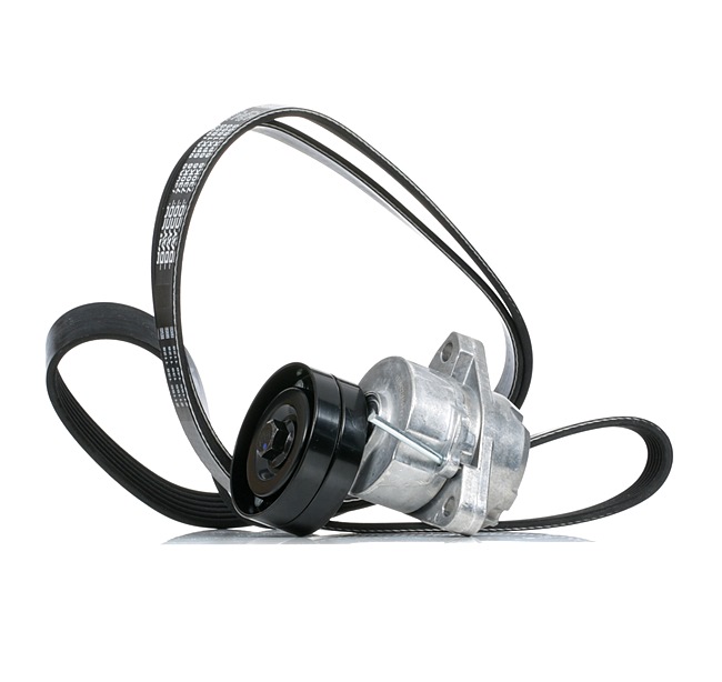 Poly V-riem set (542R0933) van RIDEX Voor OPEL Frontera B SUV (U99) 2.2 i (6B_ZC, 6B_VF, 6B_66, 6B_76) (100 KW / 136 PK / Van 1998)