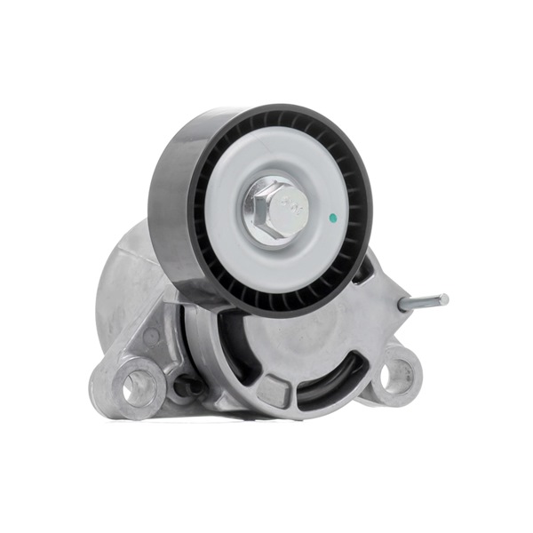 OEM 11287619248 RIDEX Tensioner pulley 310T0555 for BMW, MINI