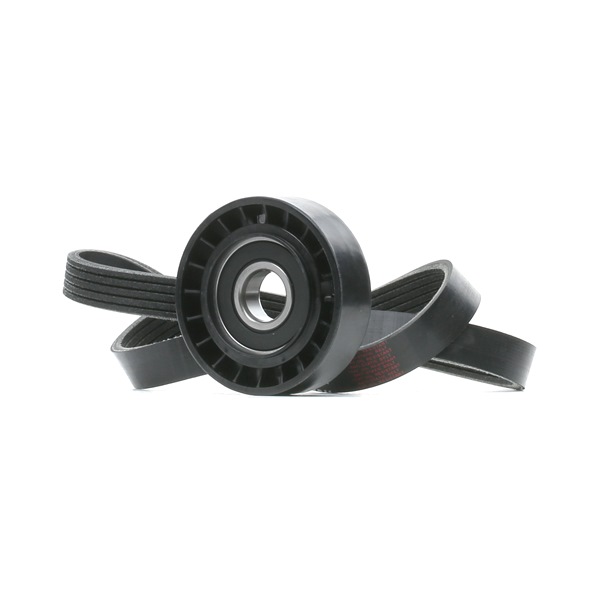 Poly V-riem set (542R0969) van RIDEX Voor FIAT DUCATO Open laadbak/ Chassis (230) 1.9 TD (60 KW / 82 PK / Van 1994)