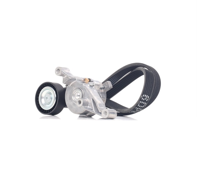 Poly V-riem set (SKRBS-1200985) van STARK Voor VW Multivan V (7HM, 7HN, 7HF, 7EF, 7EM, 7EN) 1.9 TDI (62 KW / 84 PK / Van 2006)