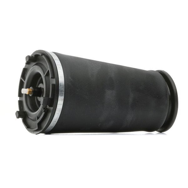 OEM 15276029 RIDEX Ilmajousi 4119A0094 varten SAAB, CHEVROLET, LINCOLN, BUICK, GMC