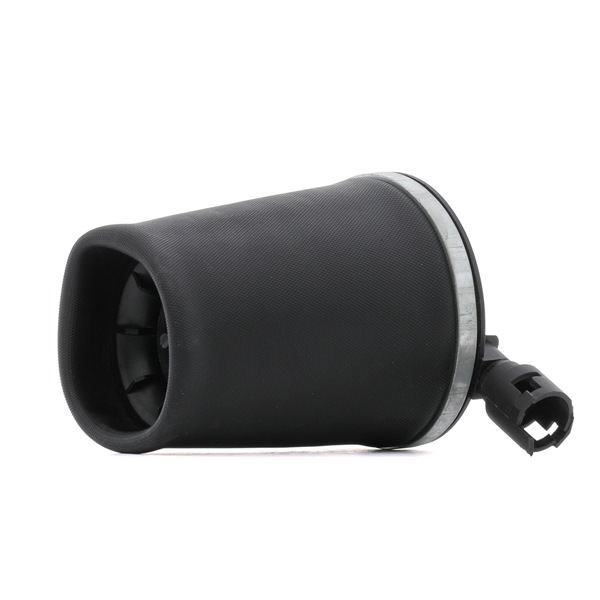 OEM 6W1Z5560AA RIDEX Ilmajousi 4119A0095 varten FORD, FORD USA, LINCOLN, MERCURY