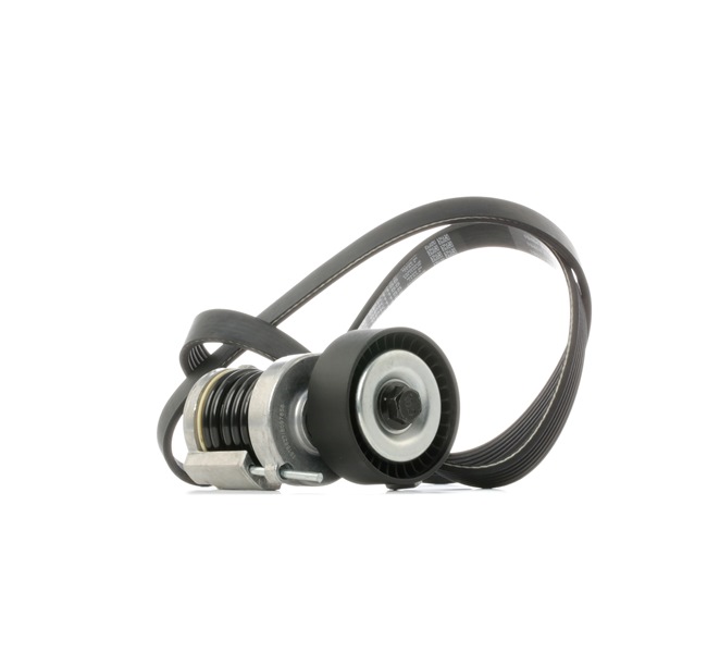 Poly V-riem set (542R1019) van RIDEX Voor VW New Beetle Hatchback (9C1, 1C1) 1.4 (55 KW / 75 PK / Van 2001)