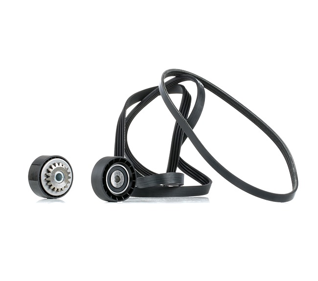 RIDEX Jeu de courroies trapézoïdales à nervures (542R1020) pour RENAULT Kangoo I Express (FC, FC0/1) 1.2 (FC01, FC0A, FC0F) (43 KW / 58 CH / de 1997)