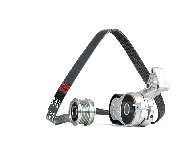 RIDEX Juego de correas trapeciales poli V (542R1030) para VW Passat B6 Sedán (3C2) 1.6 (75 KW / 102 CV / de 2005)