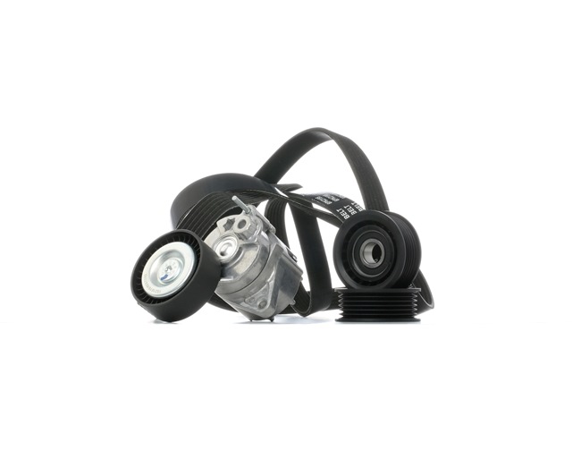 Poly V-riem set (542R1031) van RIDEX Voor MERCEDES-BENZ SPRINTER 2-t Open laadbak/ Chassis (901, 902) 208 CDI (901.611, 901.612, 901.621, 902.611, 902.612,... (60 KW / 82 PK / Van 2000)