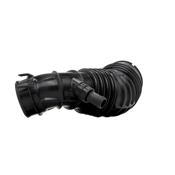OEM 178800R010 RIDEX Imuputki, ilmansuodatin 1591I0084 varten TOYOTA
