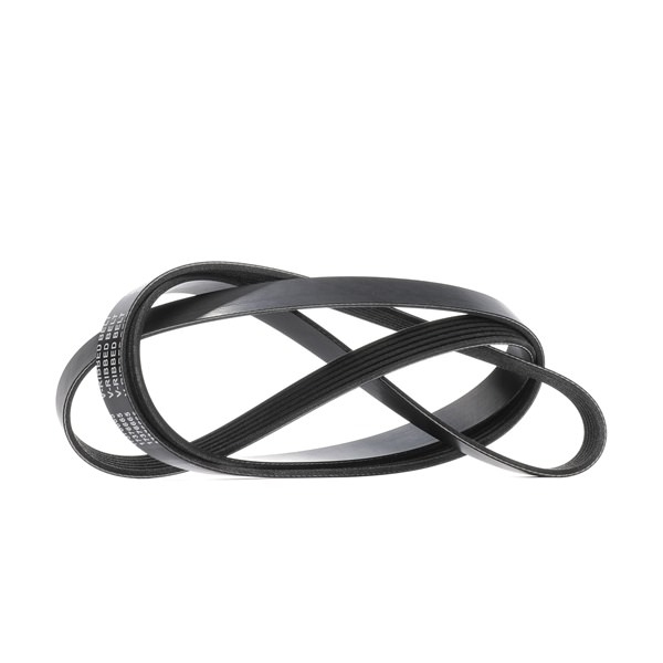 Keilrippenriemen & Keilrippenriemensatz 305P0576 RIDEX