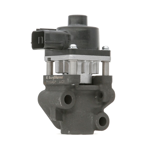 WAHLER 711024D/1 AGR / Abgasrückführungsventil
