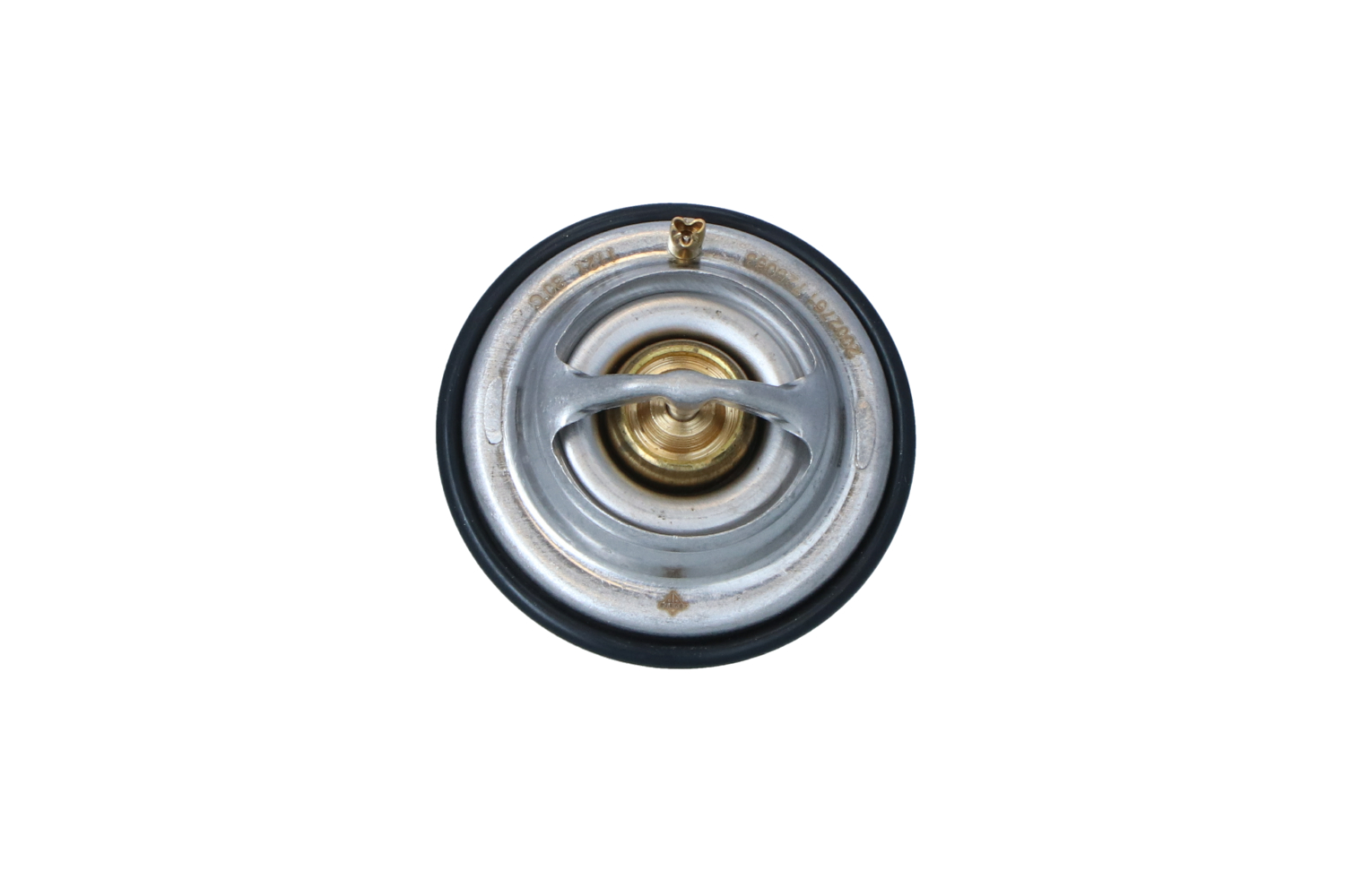 CAYENNE Thermostat d'eau 725063 NRF