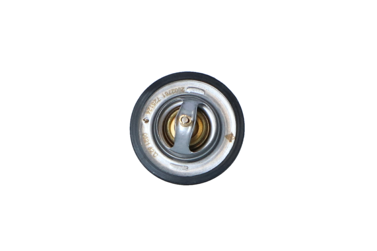 Daily Thermostat d'eau 725124 NRF