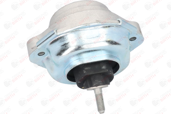 comprare Supporto motore - BIRTH (53497)