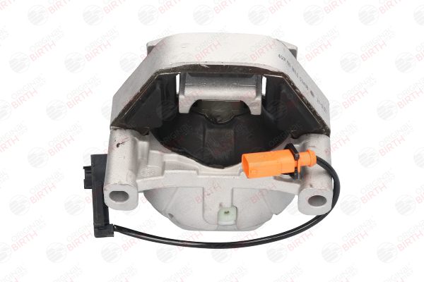 comprare Supporto motore - BIRTH (53498)