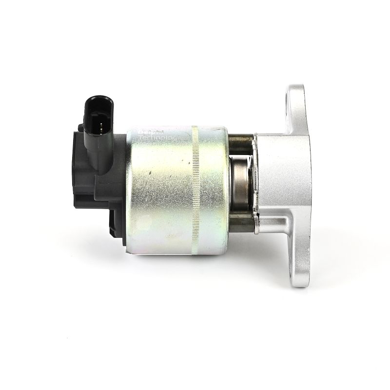 comprar Válvula EGR - DELPHI (EG10015-12B1)