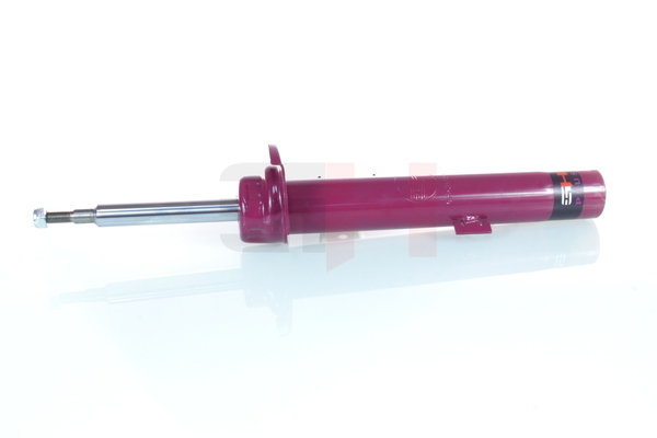 OEM 33528036026 GH  Stoßdämpfer GH+351549V für BMW, MINI