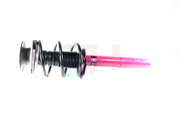 OEM 31331093071 GH Veerpoot GH+351581C01 voor BMW