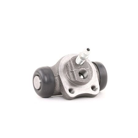 DELPHI Remcilinder LW50008