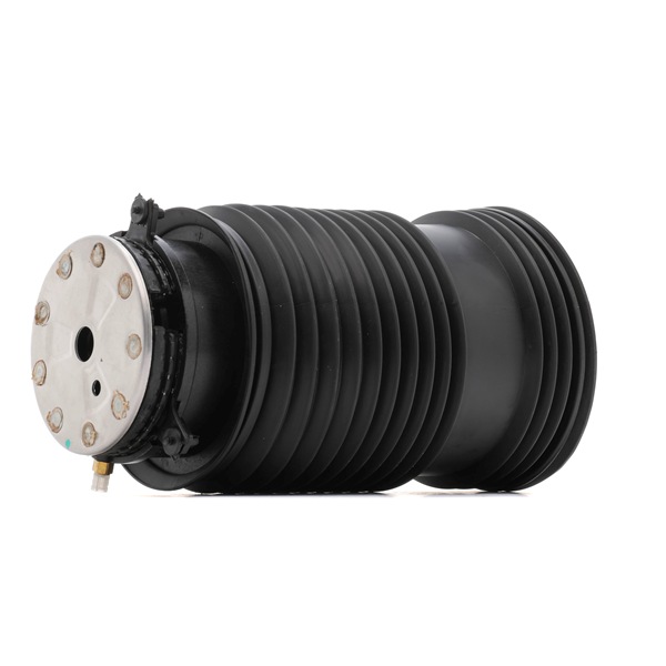 OEM A2053200125 RIDEX Ilmajousi 4119A0105 varten MERCEDES-BENZ