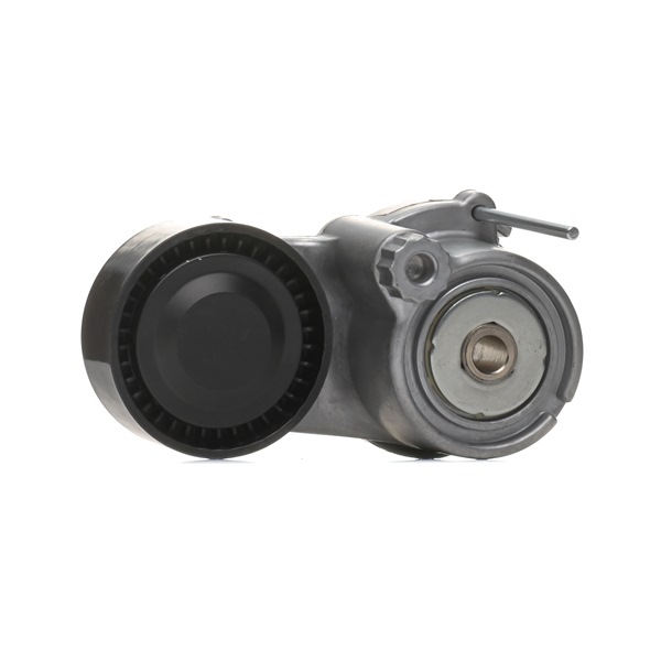 Spanrol, poly V-riem (310T0571) van RIDEX Voor OPEL INSIGNIA Saloon 1.6 CDTi (69) (88 KW / 120 PK / Van 2015)