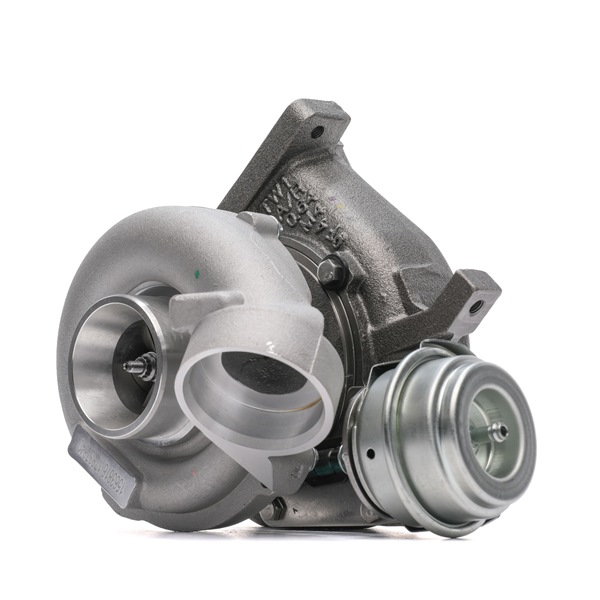 OEM 6120960099 RIDEX Turbolader 2234C10854 for VW, BMW, MERCEDES-BENZ, AUDI, TOYOTA