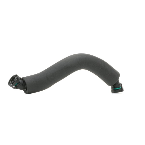 RIDEX Tubo flexible, ventilación bloque motor (1600H16000064) para VW Passat B6 Sedán (3C2) 1.8 TSI (118 KW / 160 CV / de 2007)