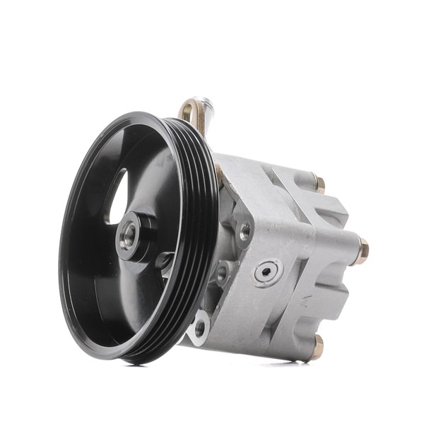 OEM 491109F600 STARK Pompa idraulica, sterzo SKHP-0540331 per NISSAN
