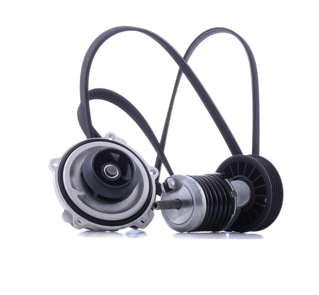 Waterpomp + Multi V-riemset (4172P0090) van RIDEX Voor VW PASSAT Variant (3B5) 1.9 TDI (66 KW / 90 PK / Van 1997)
