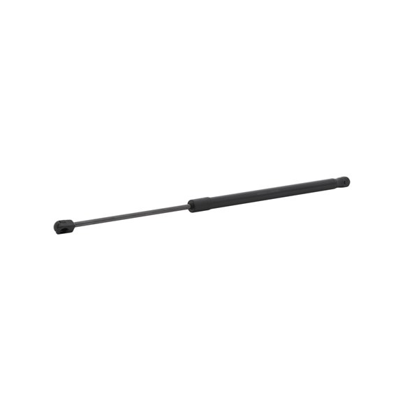 SWIFT Gasveer achterklep 219G1076 RIDEX