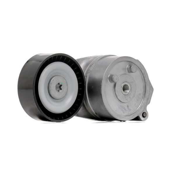 Rullo tendicinghia RIDEX 310T0599