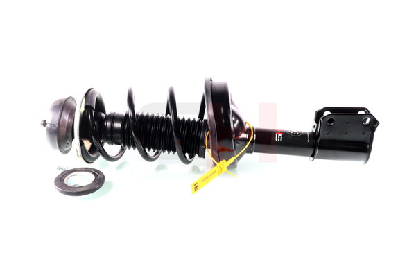 OEM 5432500Q0A GH Jambe de suspension GH-353946C02 pour RENAULT, PEUGEOT, NISSAN