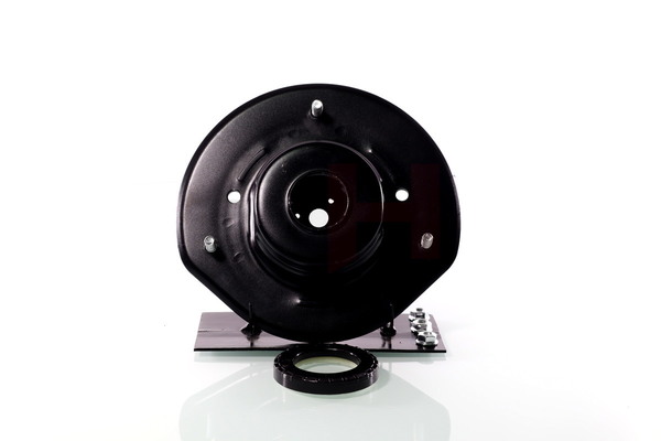 GH Fjäderbenslagring GH-369321