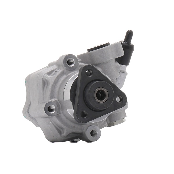 RIDEX REMAN Servopumpe (12H0093R) für VW Multivan V (7HM, 7HN, 7HF, 7EF, 7EM, 7EN) 2.0 TDI (100 KW / 136 PS / ab 2010)