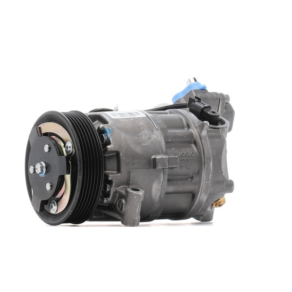 OEM A4101541A023 RIDEX REMAN Ilmastoinnin kompressori 447K0046R varten MERCEDES-BENZ, BMW, VOLVO