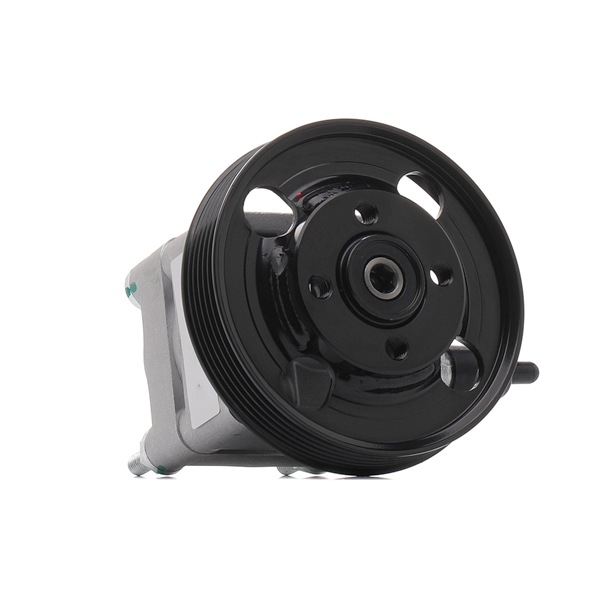 OEM 36000689 RIDEX REMAN Servopumpe 12H0063R for VOLVO, FORD