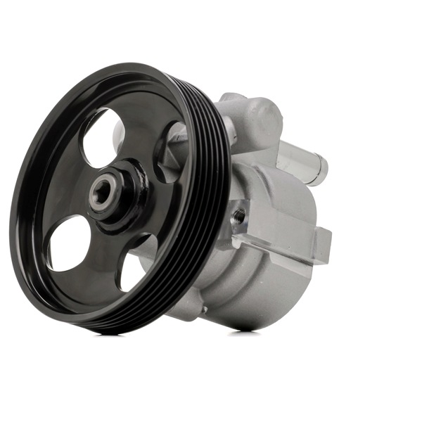 OEM 93861732 STARK Pompa idraulica, sterzo SKHP-0540597 per OPEL, RENAULT, NISSAN, MITSUBISHI, VAUXHALL