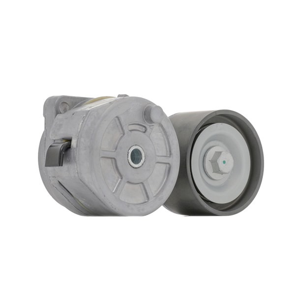 OEM 2192038 RIDEX Kiristysrulla, moniurahihna 310T0601 varten