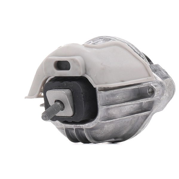 OEM 6773744 RIDEX Supporto motore 247E0883 per BMW, MINI