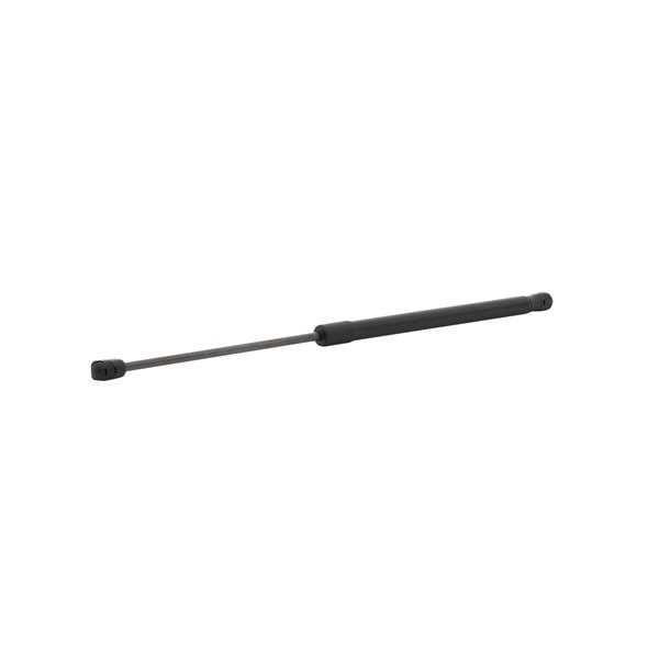 Tailgate strut 219G1088