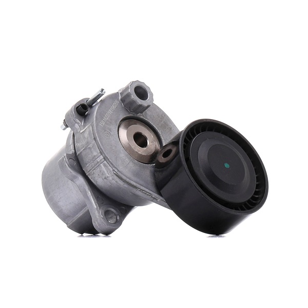 Spanrol, poly V-riem (310T0626) van RIDEX Voor MERCEDES-BENZ SPRINTER 3,5-t Open laadbak/ Chassis (906) 314 CDI (906.131, 906.133, 906.135, 906.231, 906.233,... (105 KW / 143 PK / Van 2016)
