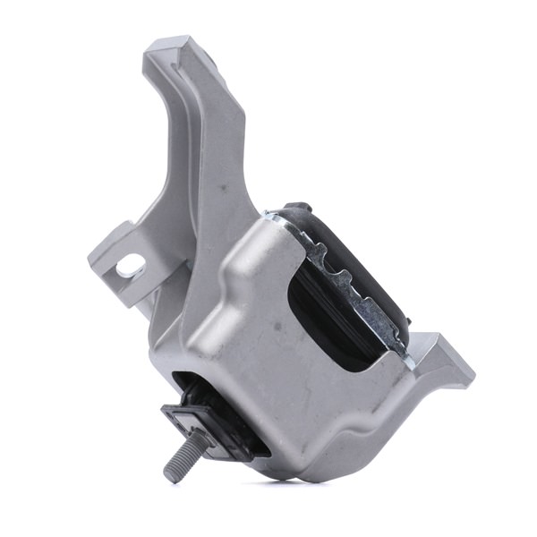 RIDEX Apoio do motor 247E0911